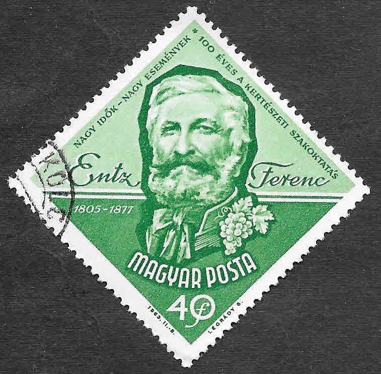 1496 - Entz Ferenc