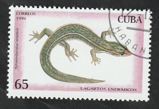 3413 - Lagarto