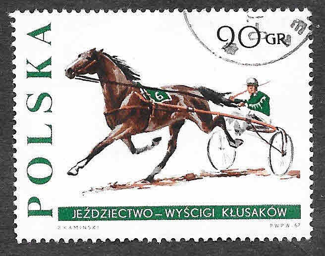 1478 - Caballo