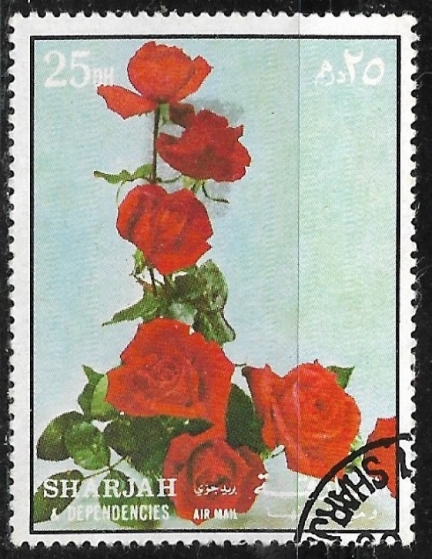 Flores - Rosas