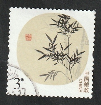 5063 - Plantas