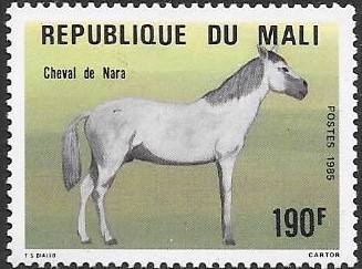 caballos