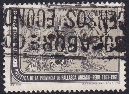 Politica Provincia Pallasca