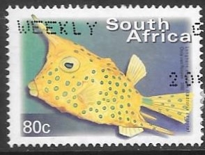 peces