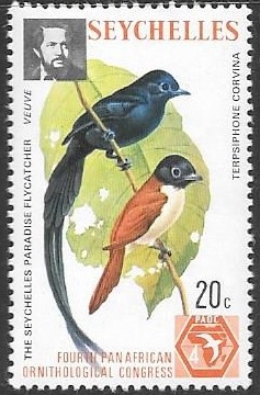aves