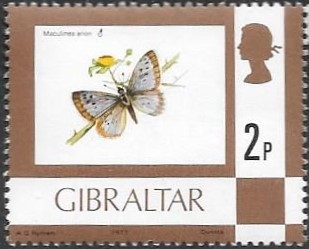 mariposas