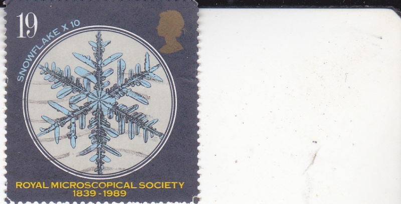 150 Aniv. Real Sociedad Microscopical-Copo de nieve x 10