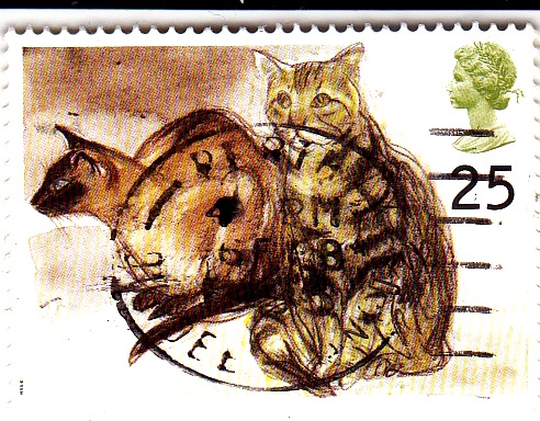 Gatos