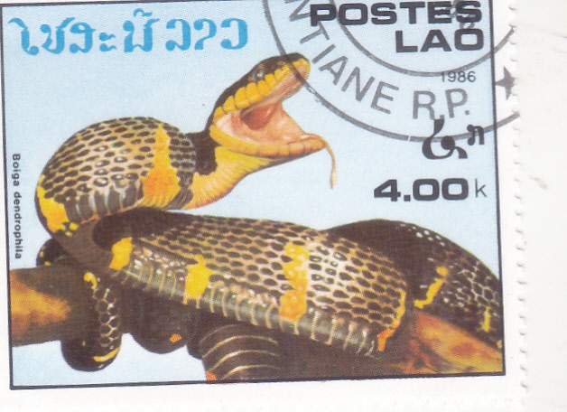 serpiente