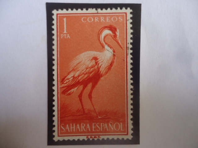 Ed:Es-SH 163 - Sahara Español - Garza Real (Ardea Cinerea)