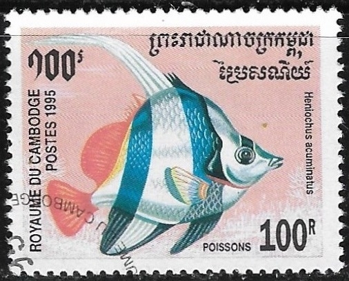 Peces - Heniochus acuminatus)