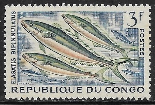 Peces - Elagatis bipinnulatus