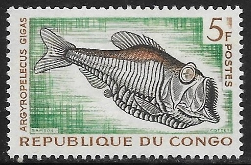 Peces -A rgyropelecus gigas