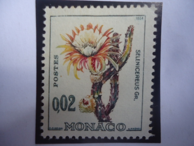 Selenicereus Gr. - Reina de la Noche.