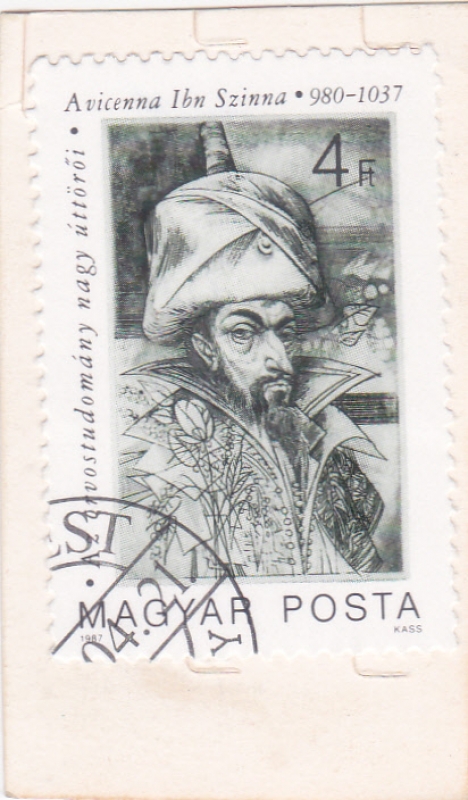  Avicenna pionero de la medicina