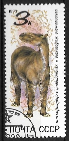 Animales prehistóricos - Chalicotherium