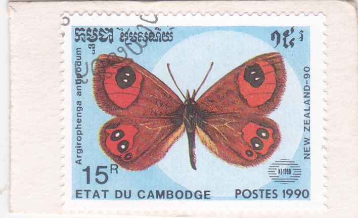 Mariposa