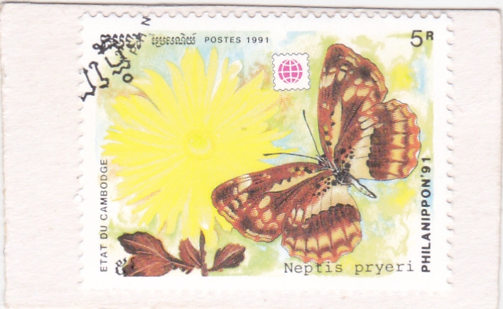 Mariposa