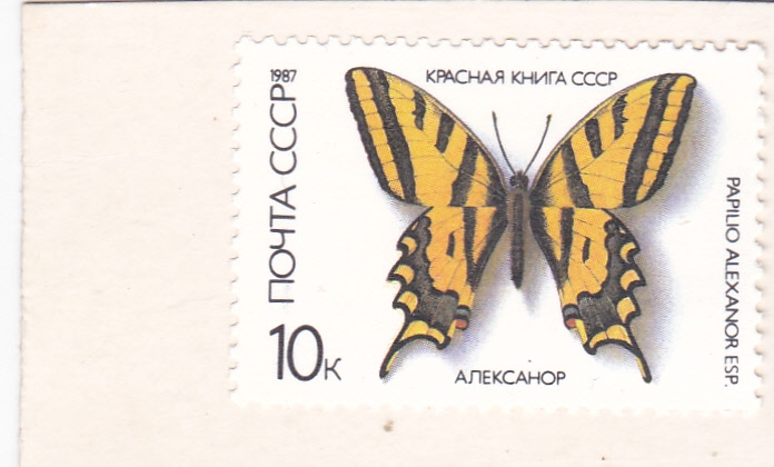 Mariposa