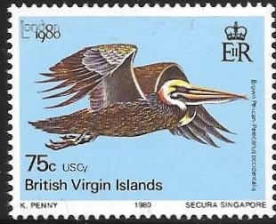 aves