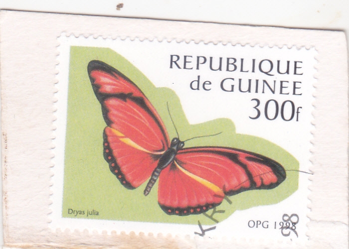 Mariposa