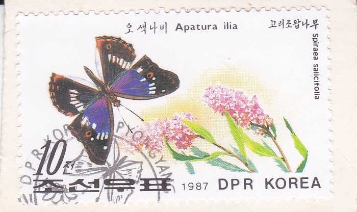 Mariposa