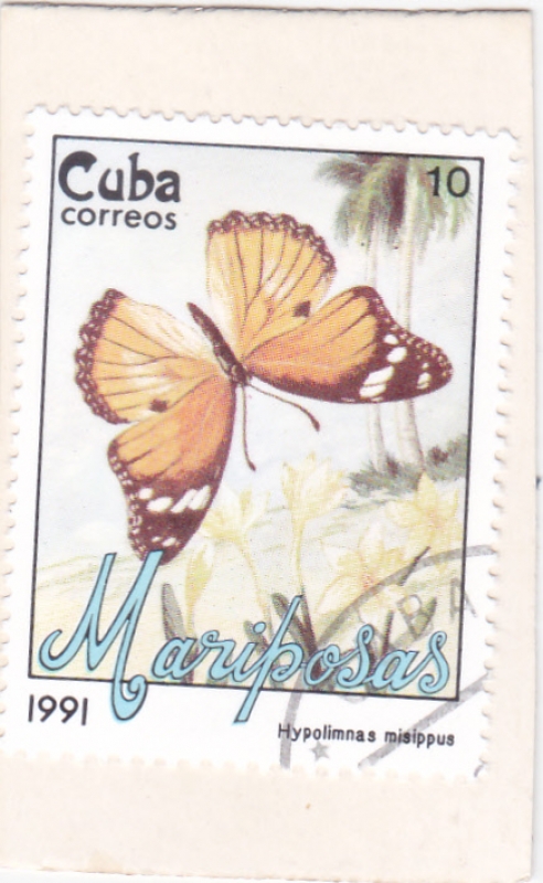 Mariposa