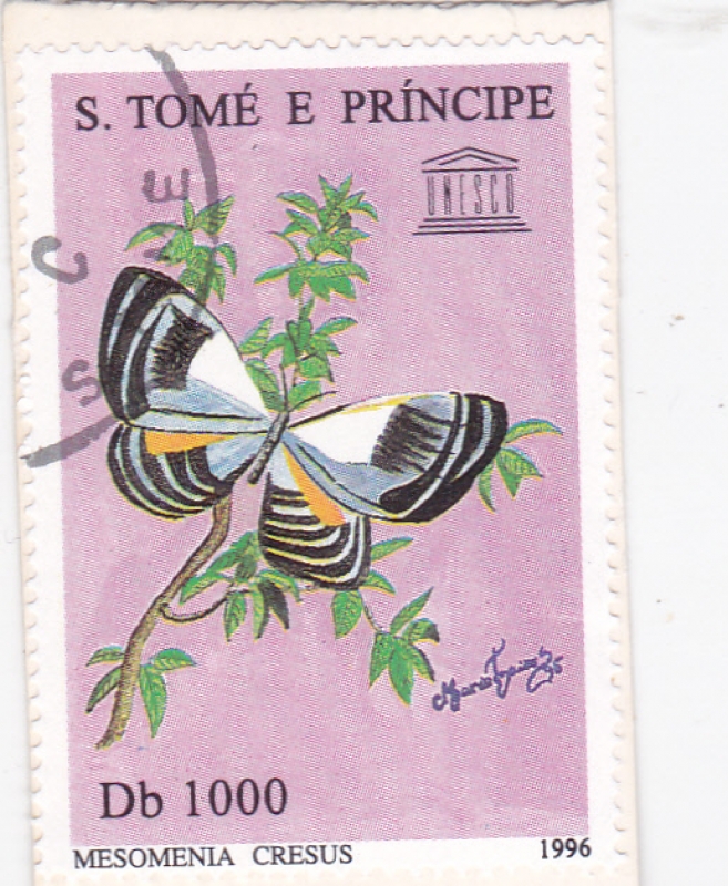 Mariposa