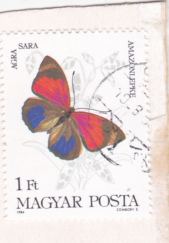 Mariposa