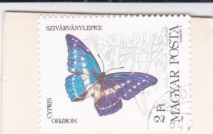 Mariposa