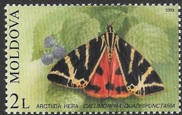 mariposas