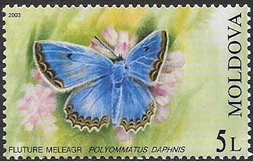 mariposas