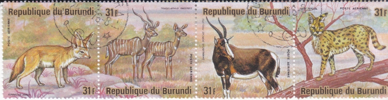 Fauna salvaje
