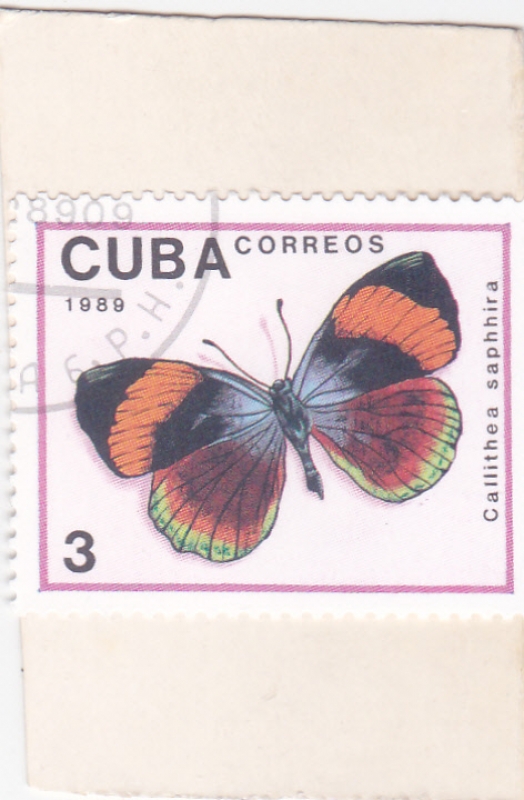 Mariposa