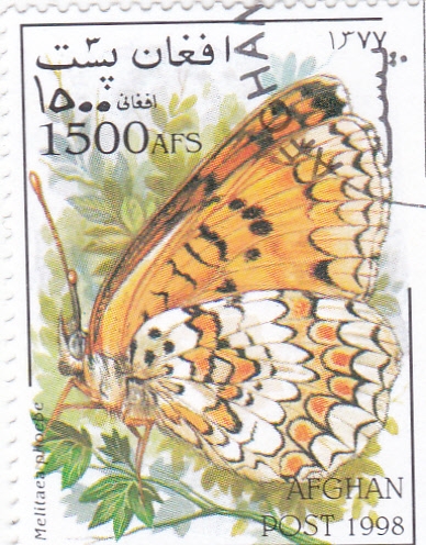 Mariposa