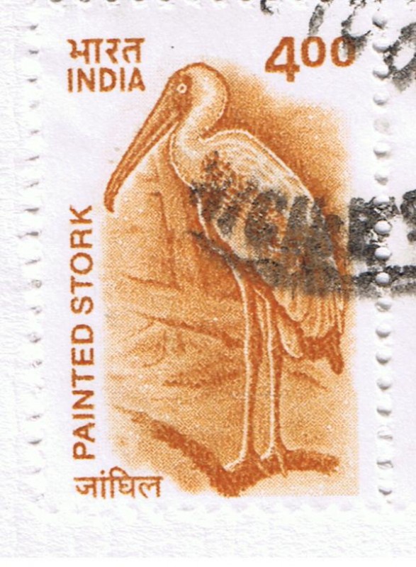 India 10
