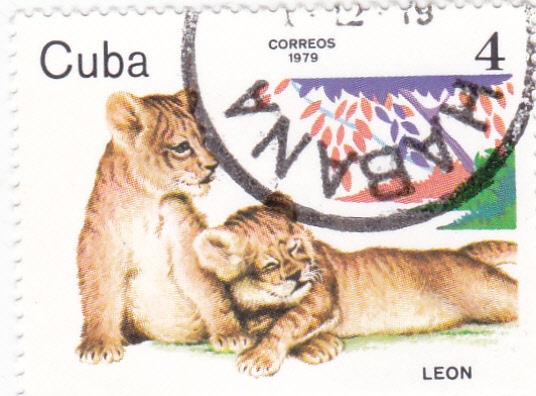 León