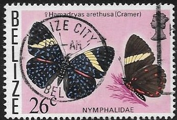 mariposas