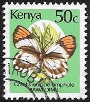 mariposas