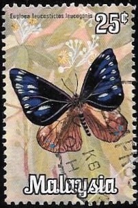mariposas