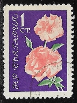 Rosas