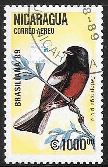 aves