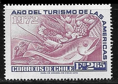 Año del turismo de las Americas 