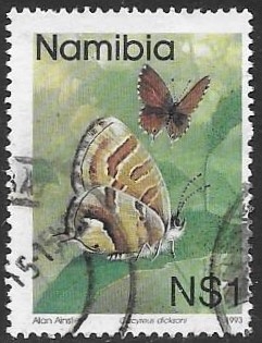 mariposas