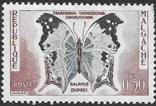 mariposas