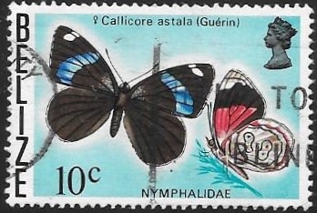 mariposas