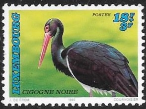aves