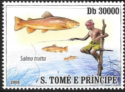 pesca
