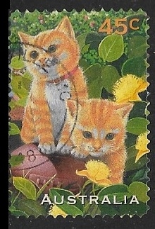 Felinos - Ginger Cat 