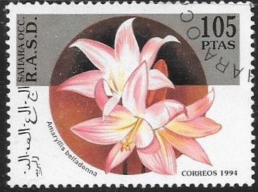 flores